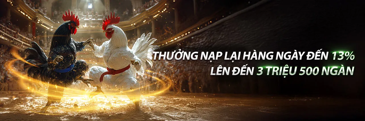 Hình ảnh giới thiệu fafa191 win - Nền tảng cá cược trực tuyến hàng đầu